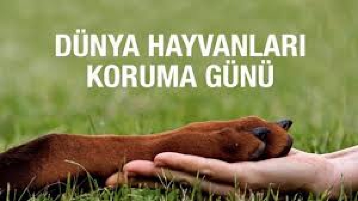 DÜNYA HAYVANLARI KORUMA GÜNÜ ETKİNLİĞİMİZ